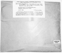 Fomes fomentarius image